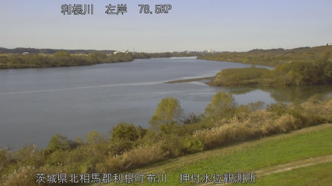 tonos2025112912_image