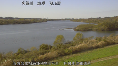 tonos2025112913_image