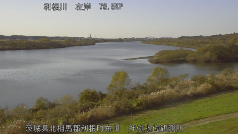 tonos2025112914_image