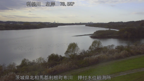 tonos2025112915_image