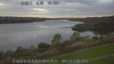 tonos2025112917_image