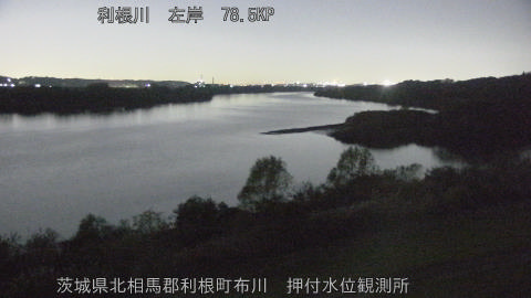 tonos2025113004_image