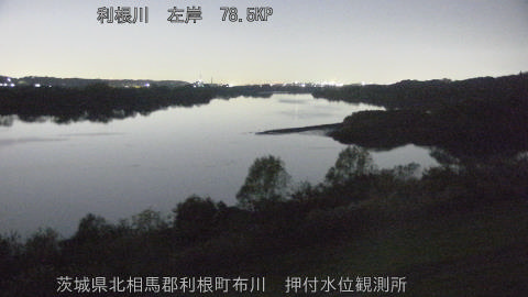 tonos2025113005_image