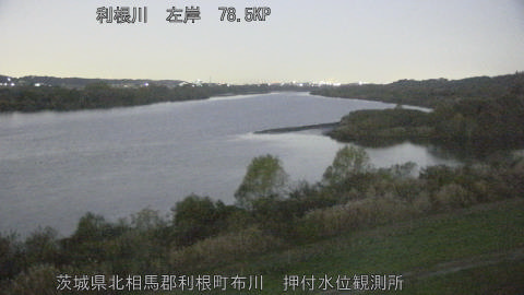 tonos2025113006_image