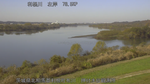 tonos2025120111_image