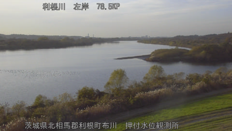 tonos2025120116_image