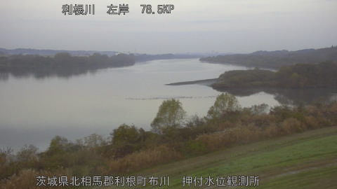 tonos2025120207_image