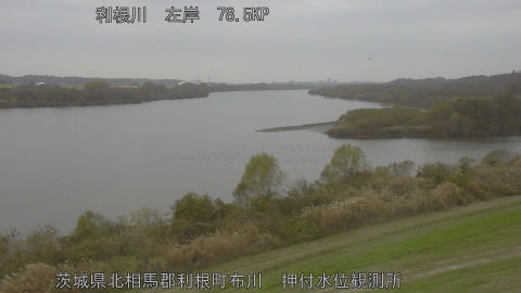 tonos2025120211_image