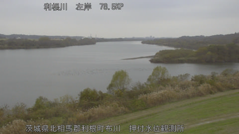 tonos2025120212_image