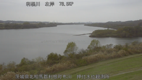 tonos2025120213_image