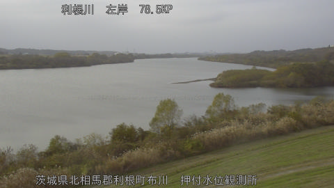 tonos2025120214_image