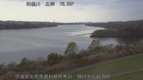 tonos2025120215_image