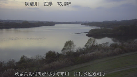 tonos2025120217_image