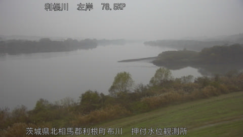 tonos2025120307_image