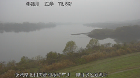 tonos2025120308_image