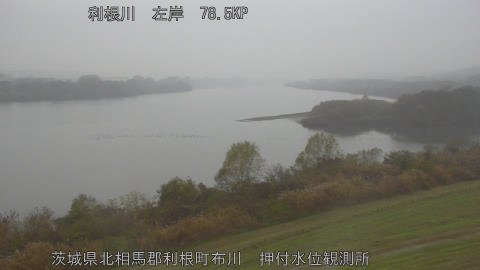 tonos2025120309_image