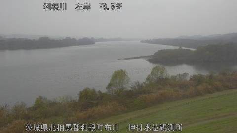 tonos2025120311_image