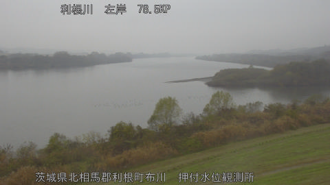 tonos2025120312_image