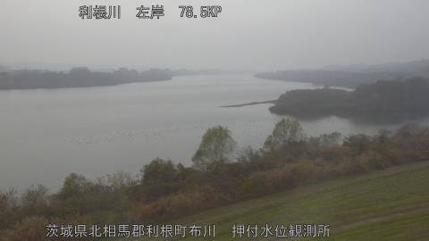 tonos2025120315_image