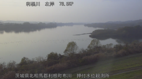 tonos2025120316_image