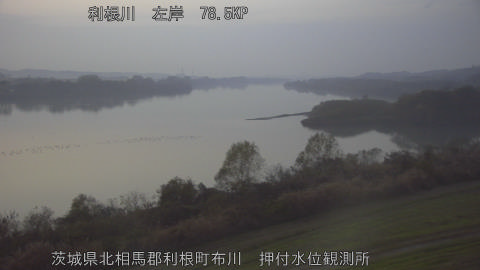 tonos2025120317_image