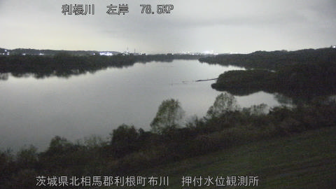 tonos2025120319_image