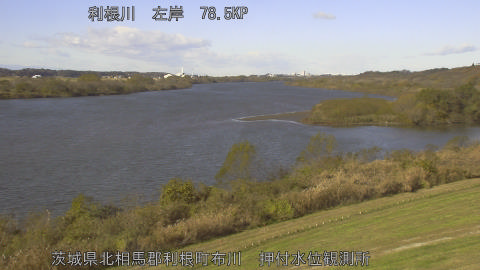 tonos2025120410_image