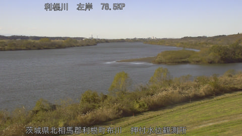 tonos2025120413_image