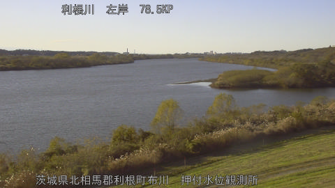 tonos2025120415_image