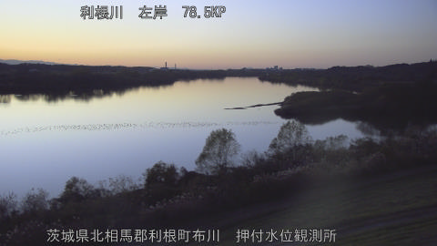 tonos2025120417_image