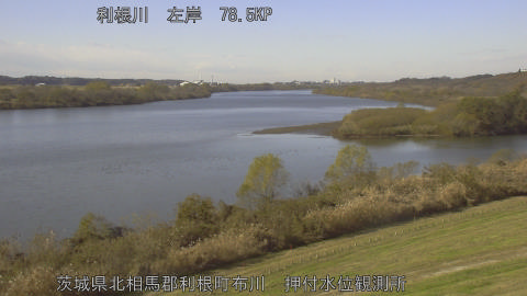 tonos2025120512_image