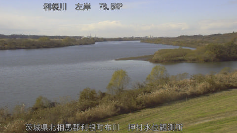 tonos2025120513_image