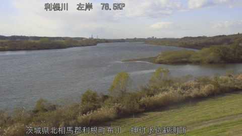 tonos2025120514_image