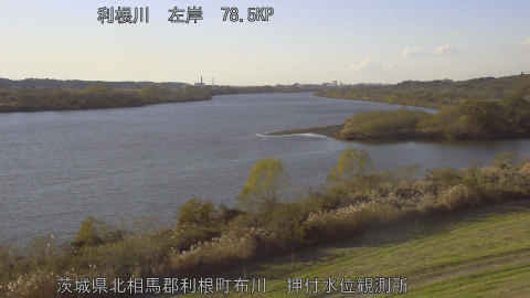 tonos2025120515_image