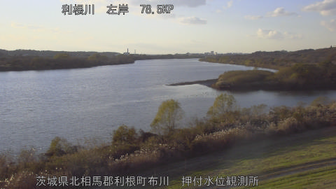 tonos2025120516_image