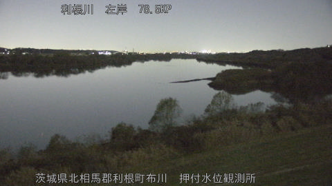 tonos2025120519_image