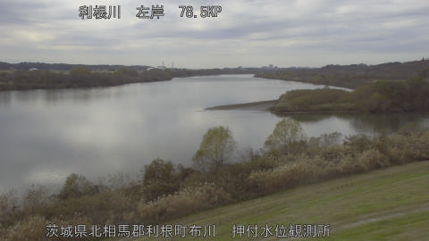 tonos2025120613_image