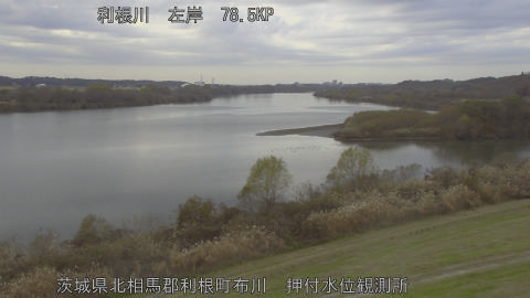 tonos2025120614_image