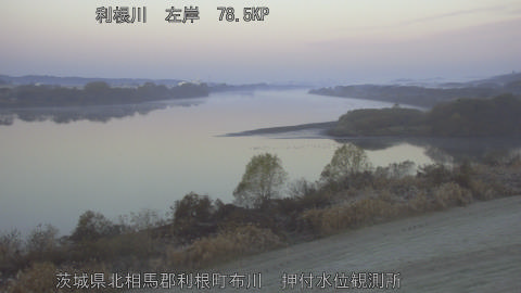 tonos2025120807_image