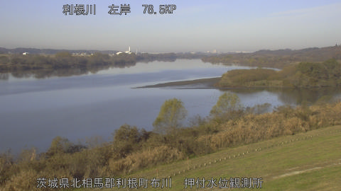 tonos2025120809_image