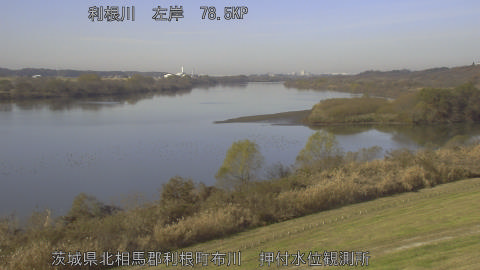 tonos2025120811_image