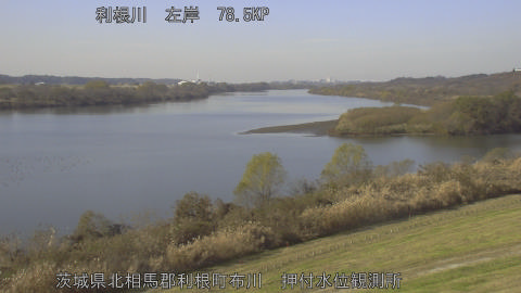 tonos2025120812_image