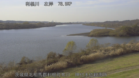 tonos2025120814_image