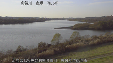 tonos2025120815_image