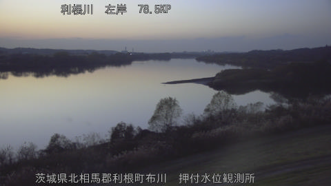 tonos2025120817_image