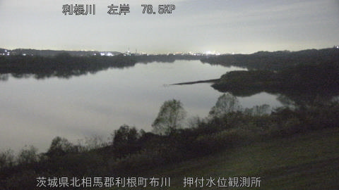 tonos2025120821_image