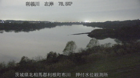 tonos2025120822_image