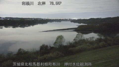 tonos2025120904_image