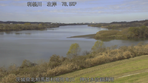 tonos2025120911_image