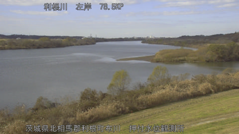 tonos2025120912_image